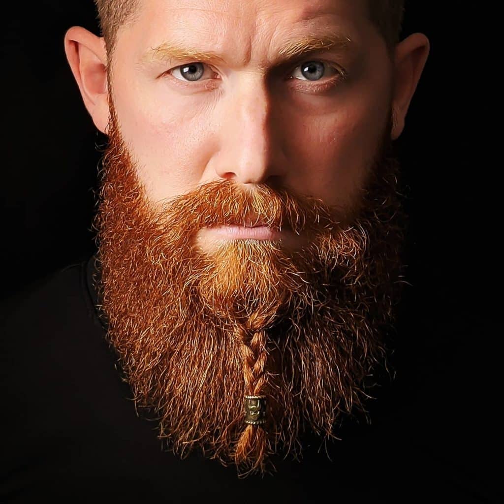 Braided Viking Beard