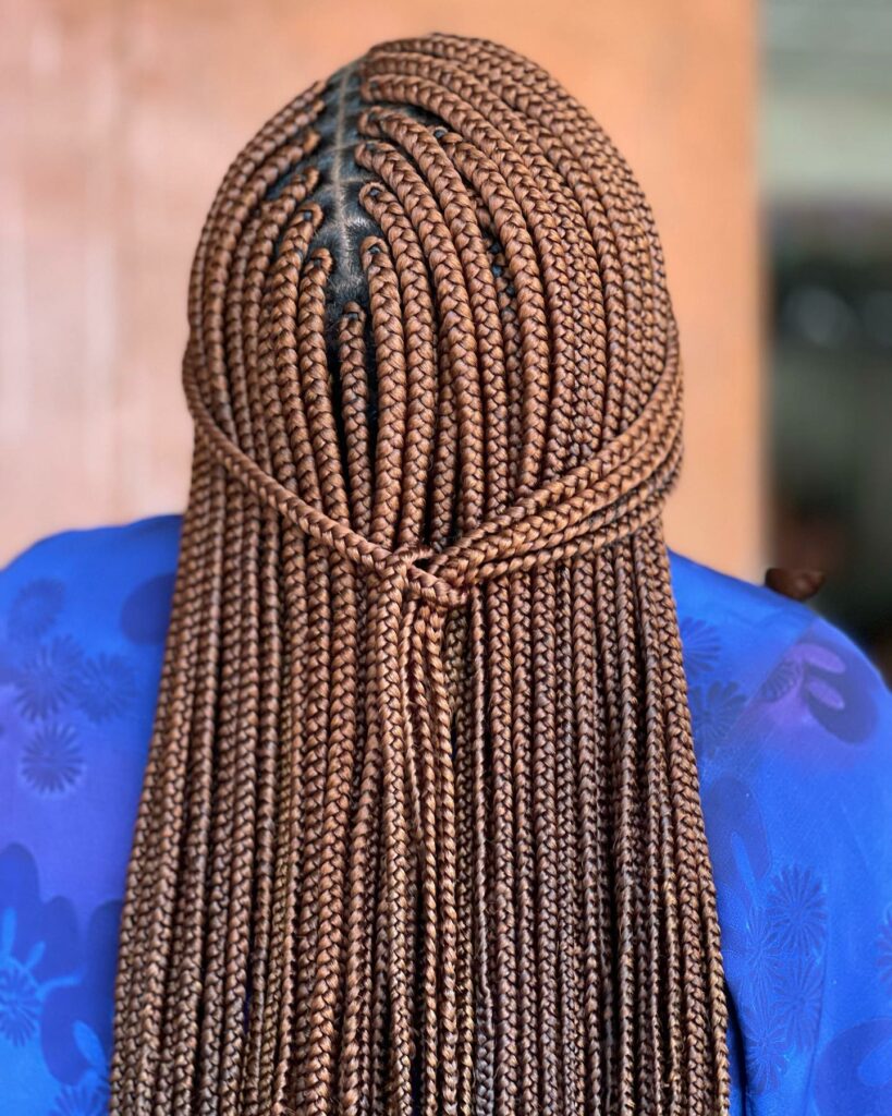 Colored Braids