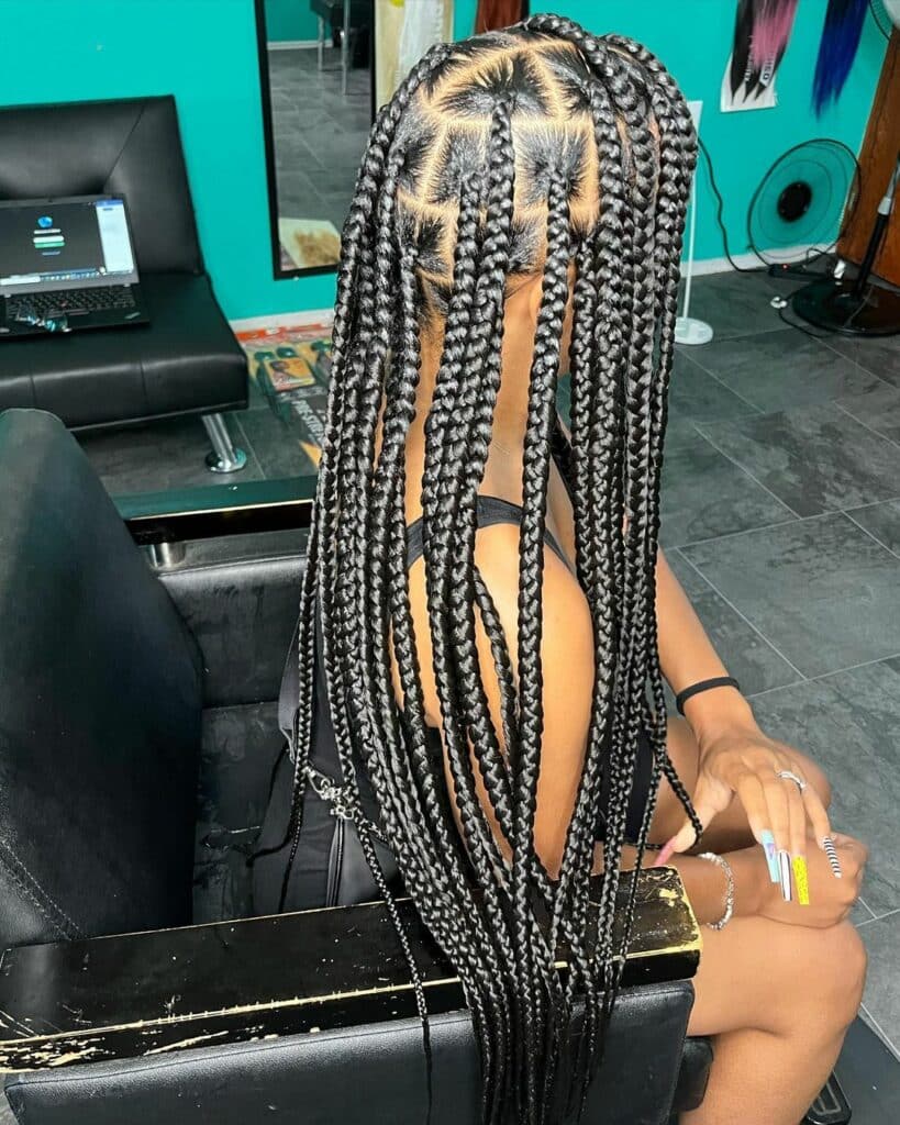 Image of Straight Braids on Straight Hair