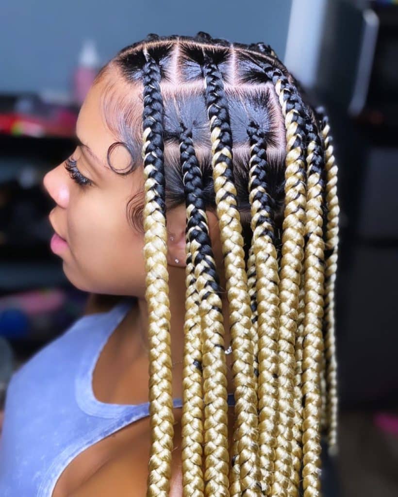 25 Big Braids Hairstyles That’ll Make a Bold Statement