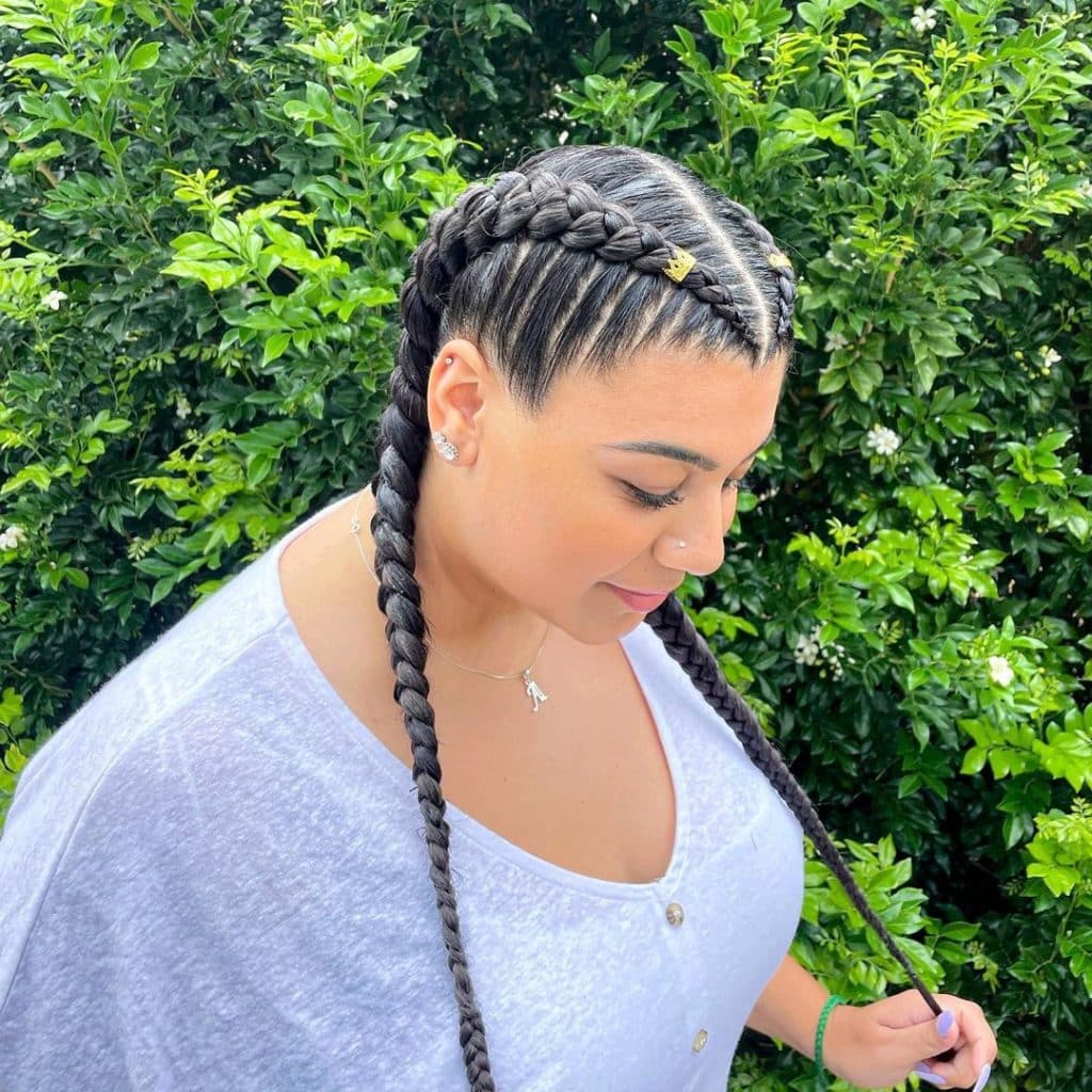 20+ Dutch Braids Hairstyles That Will Amaze You